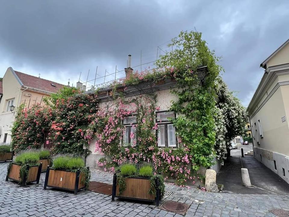 Downtown Romantic Szekesfehervar Exterior photo